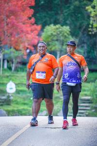 BIB: 8178
                            <button type="button" onclick="openModal(19242584)" class="btn btn-primary btn-sm float-right btn-popup" data-toggle="modal" data-target=".modal-high-quality">
                        <i class="fas fa-shopping-cart"></i> Add to Cart
                    </button>
                                            <button type="button" onclick="isThisMe(19242584, true)" class="btn btn-success btn-sm float-right btn-popup btn-isme hidden" data-toggle="tooltip" data-placement="bottom" title="นี่คือรูปของคุณใช่ไหม คลิกที่นี่เพื่อเอาเข้าอัลบั้ม">
                        <i class="fas fa-plus"></i> Add to album
                    </button>
                    <button type="button" onclick="isThisMe(19242584, false)" class="btn btn-warning btn-sm float-right btn-popup btn-isnotme hidden">
                        <i class="fas fa-ban"></i> Remove from album
                    </button>